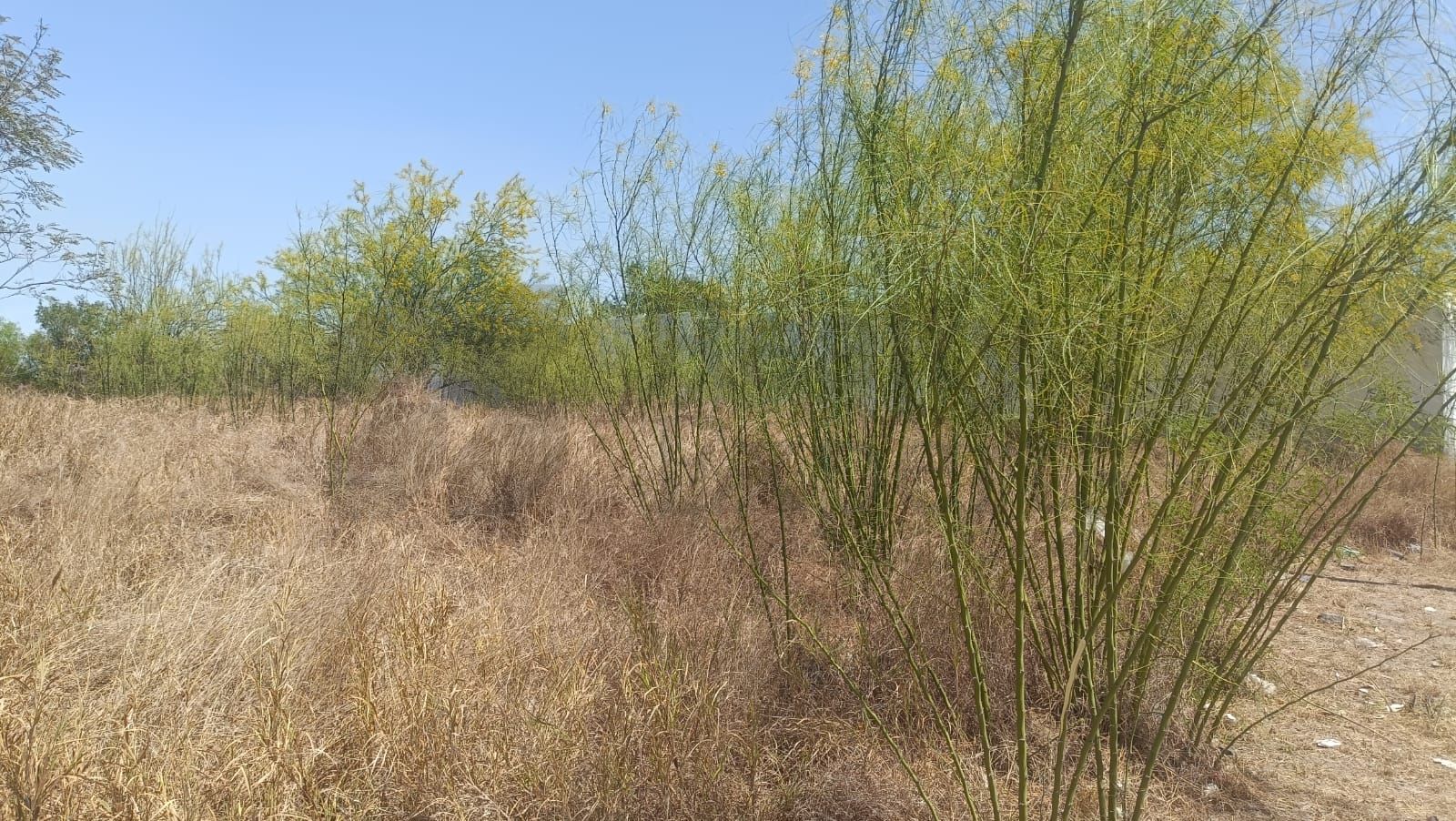 Terreno en Venta en Reserva de San Roque