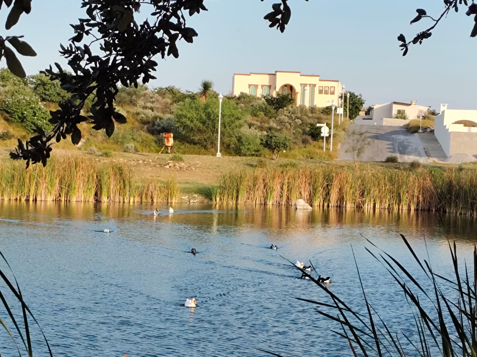 Terreno en Venta en Residencial Hacienda San Pedro