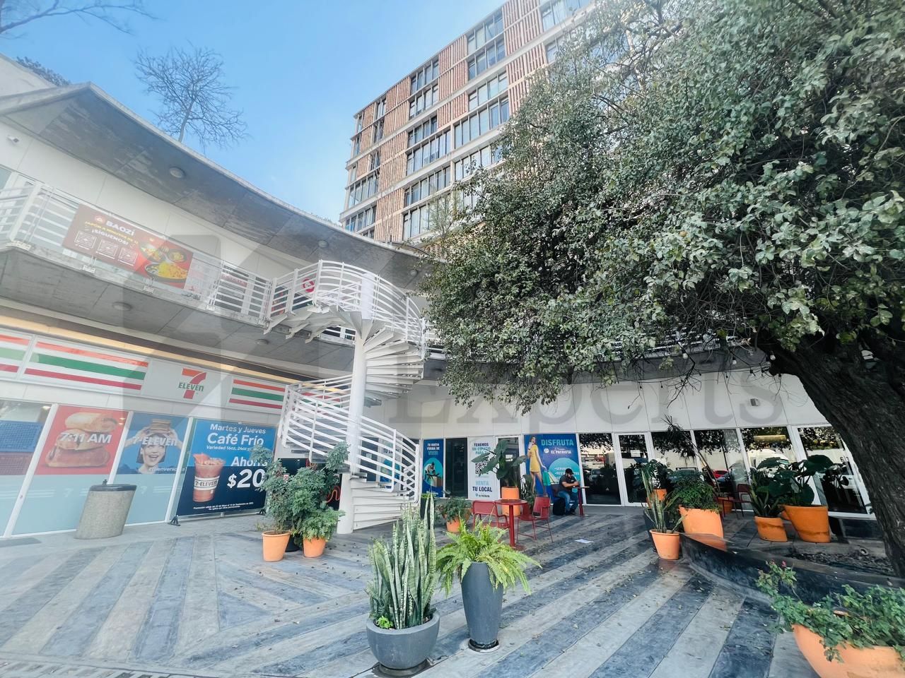 Departamento en Renta en Patriota