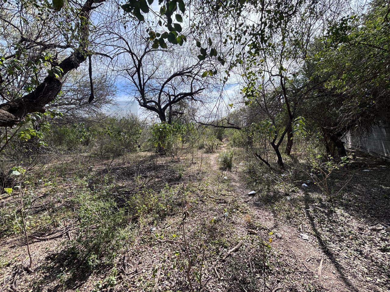 Terreno en Venta en Higueras