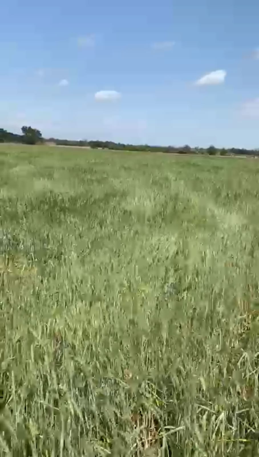 Terreno en Venta en San Lorenzo