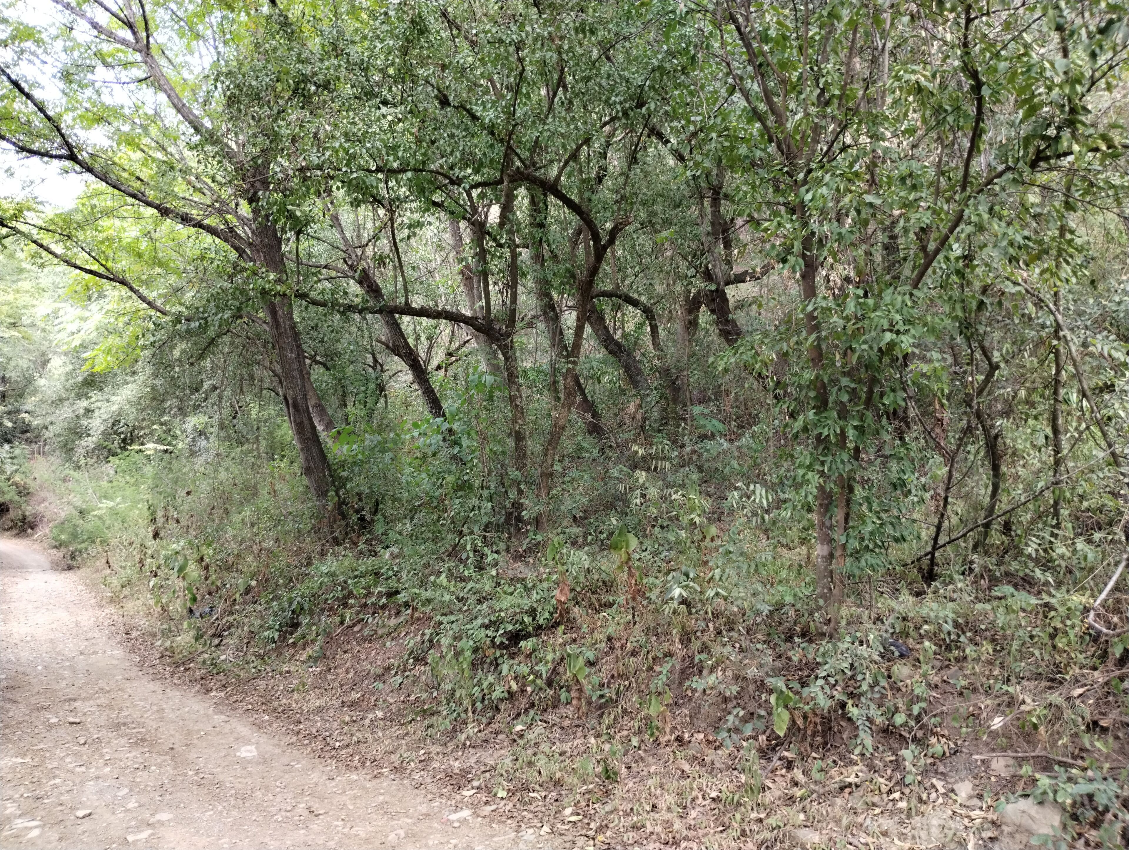 Terreno en Venta en Santiago Centro