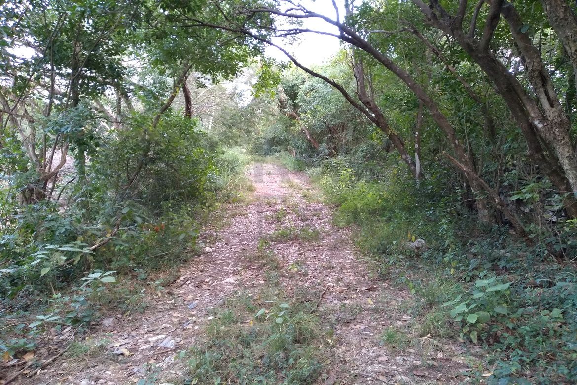 Terreno en Venta en Las Margaritas