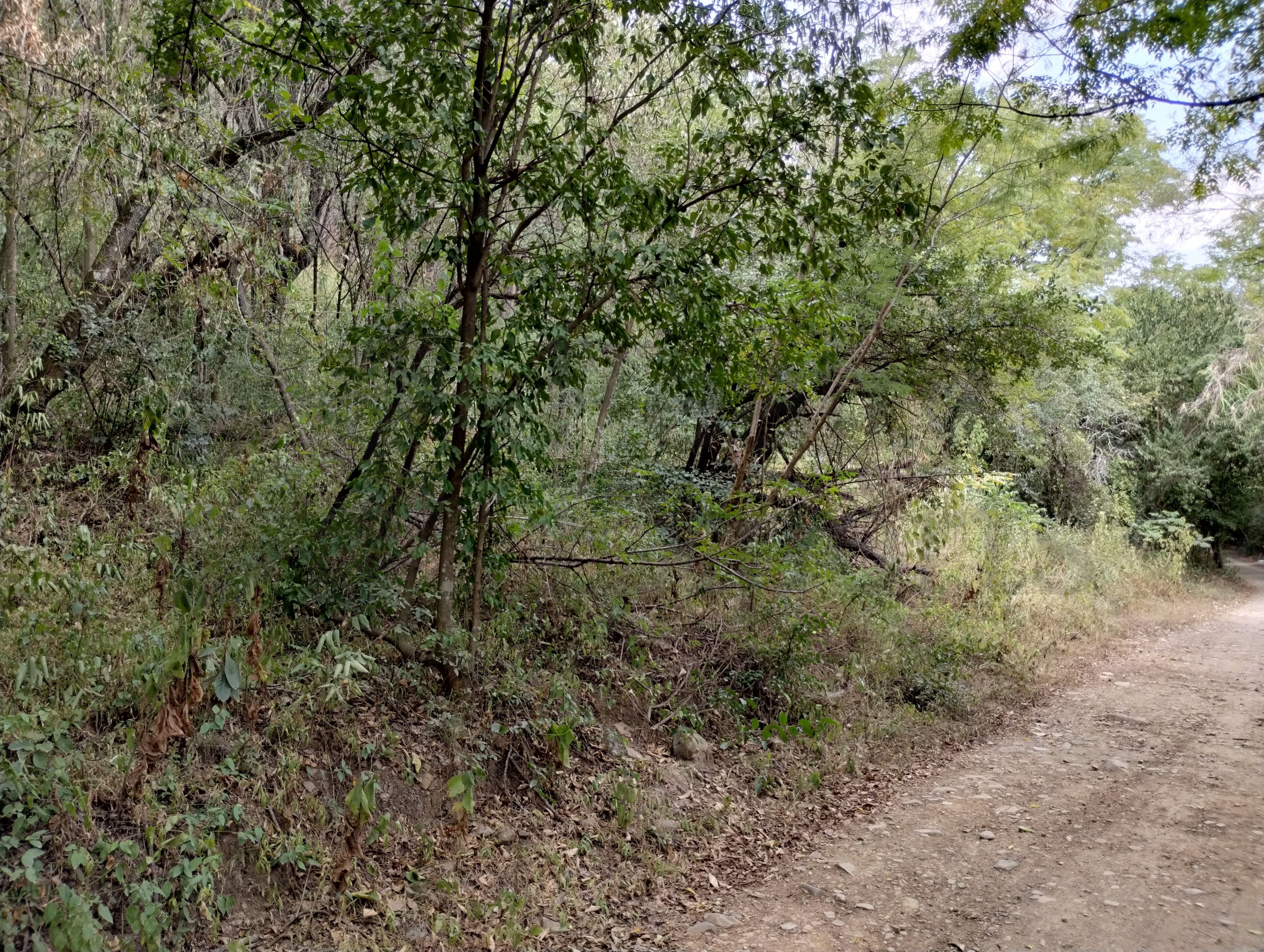 Terreno en Venta en Santiago Centro