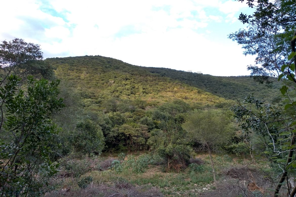 Terreno en Venta en Las Margaritas