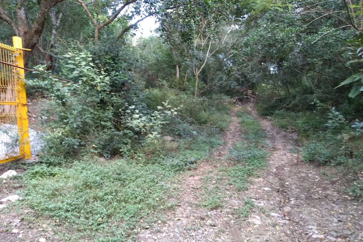 Terreno en Venta en Las Margaritas