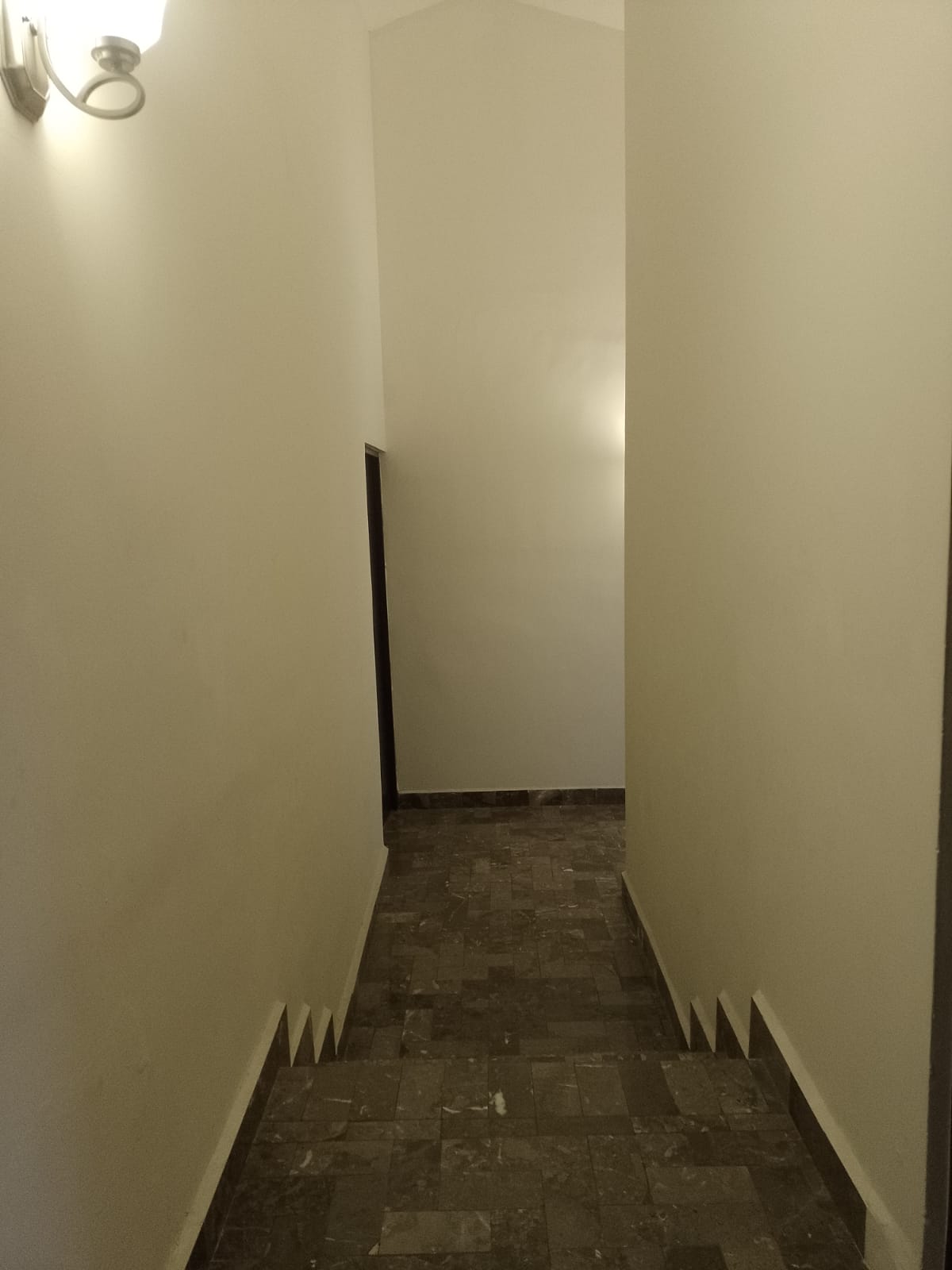 Departamento en Renta en Lomas del Roble