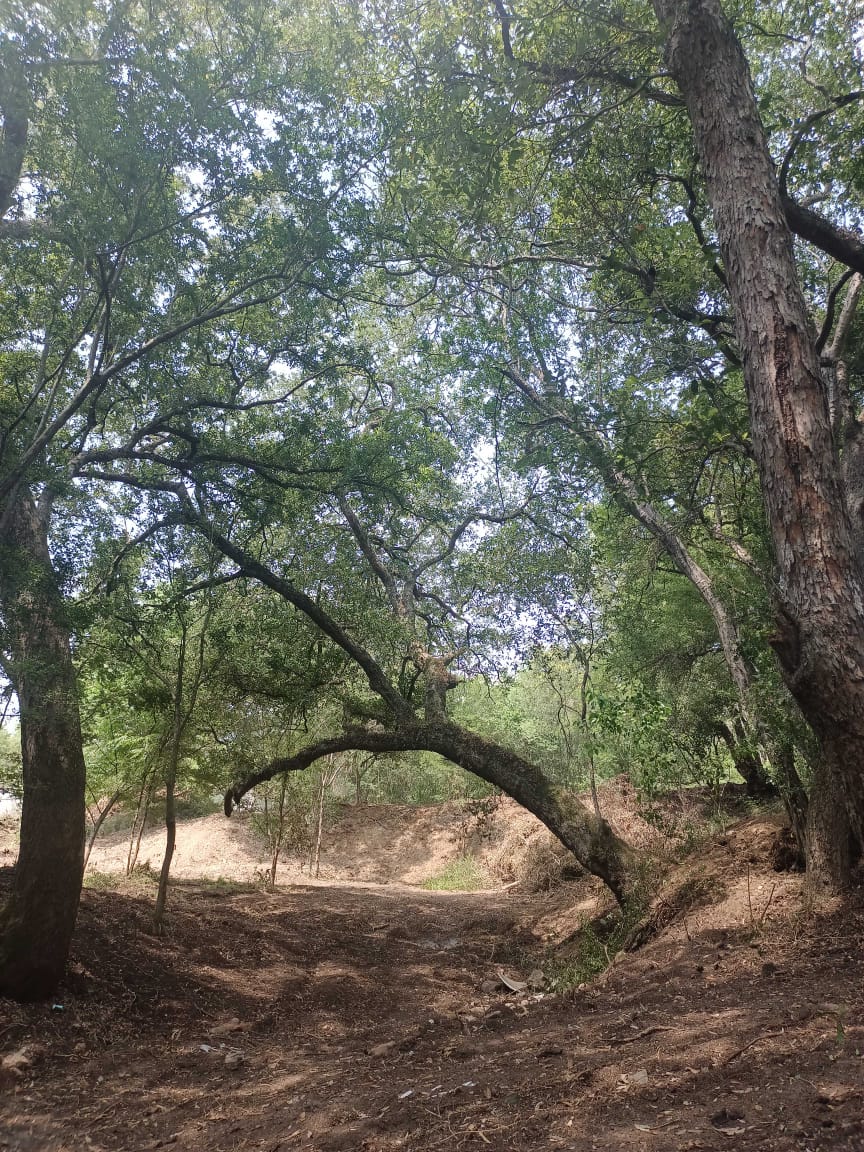 Terreno en Venta en Canoas