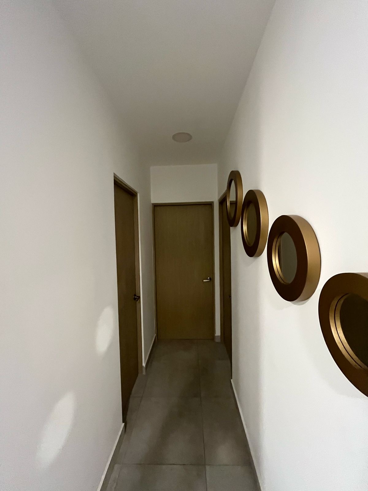 Departamento en Renta en Luzia