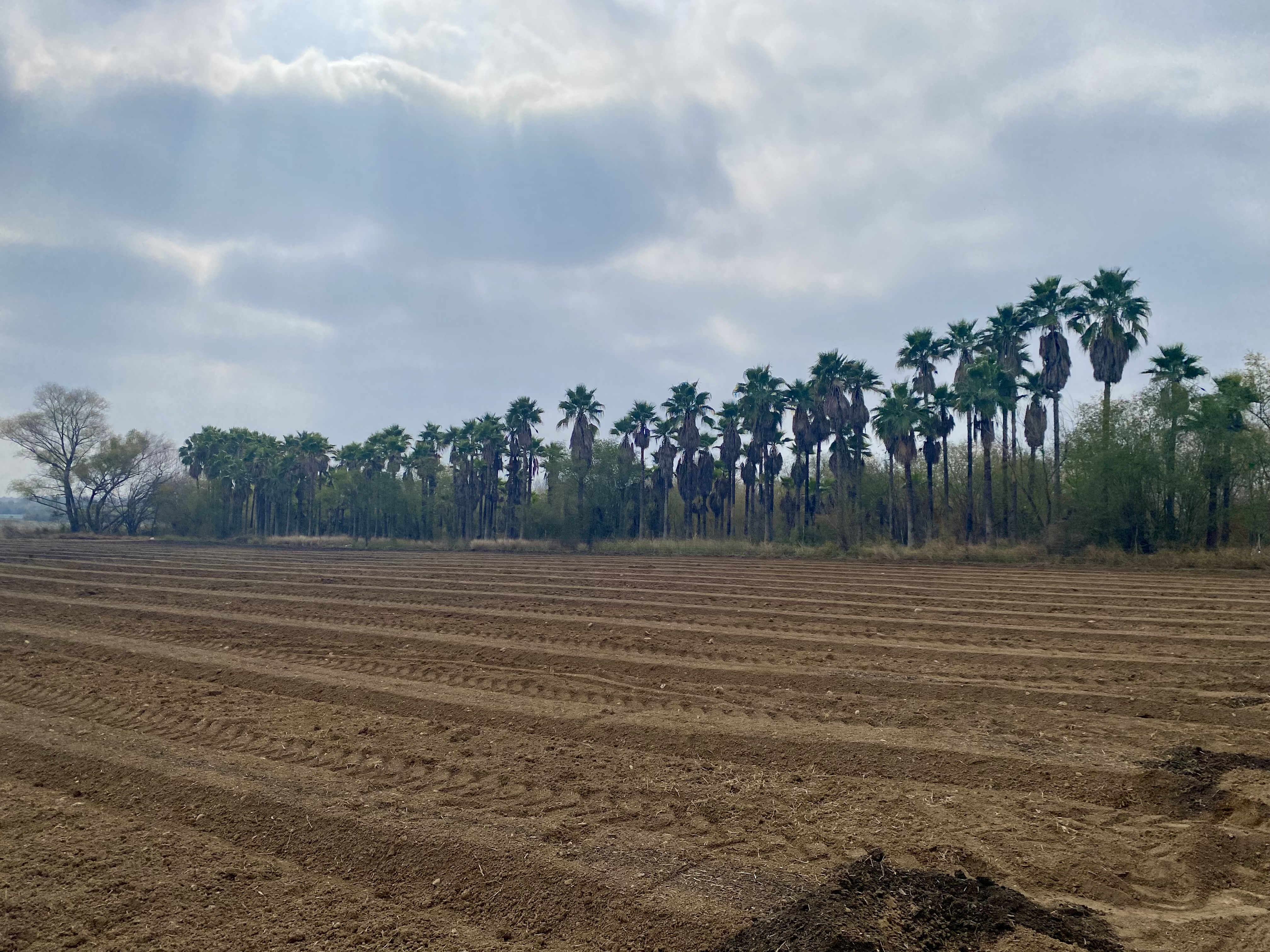 Rancho en Venta en Camino a San Rafael