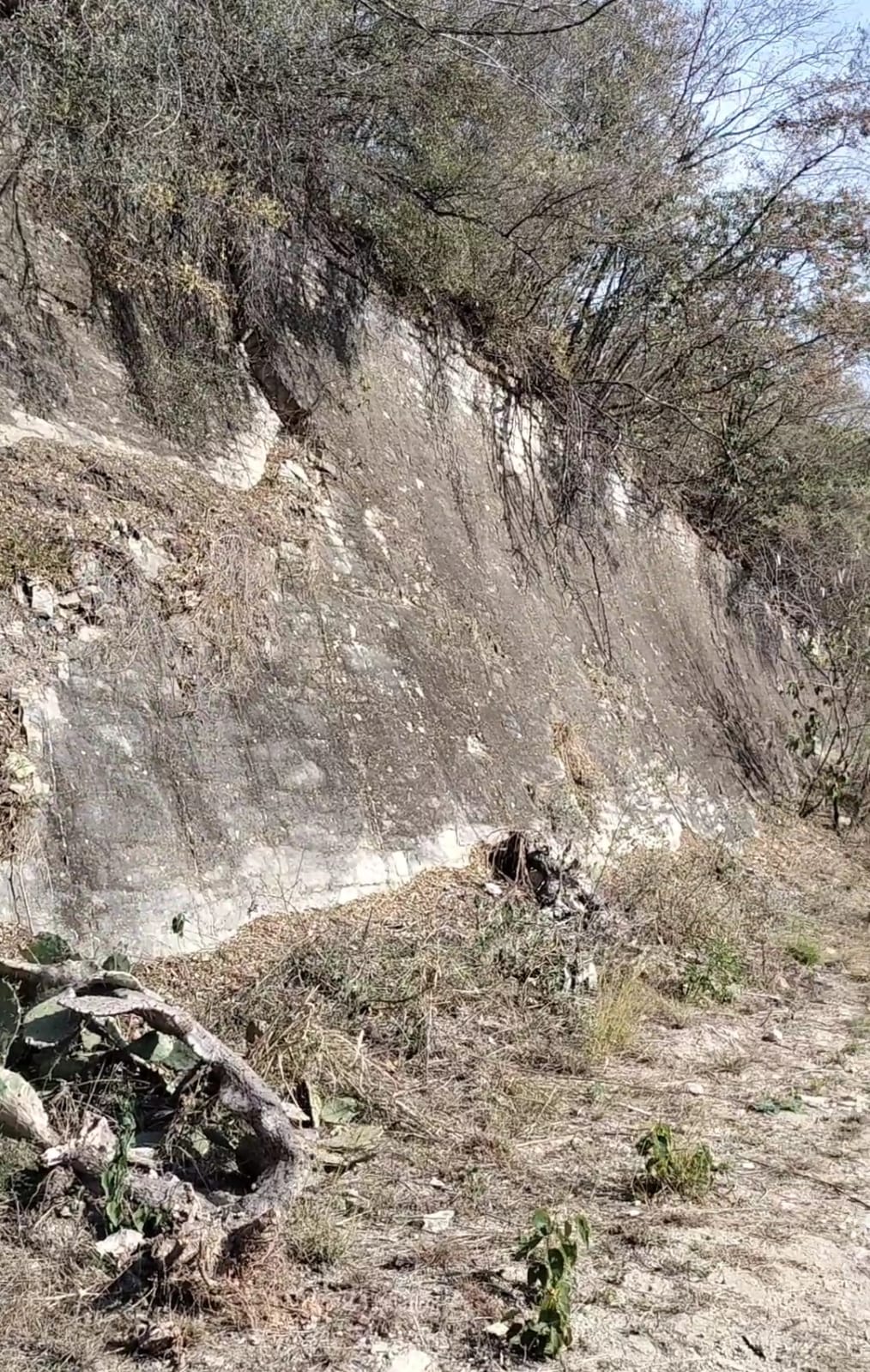 Terreno en Venta en Campestre Santa Clara