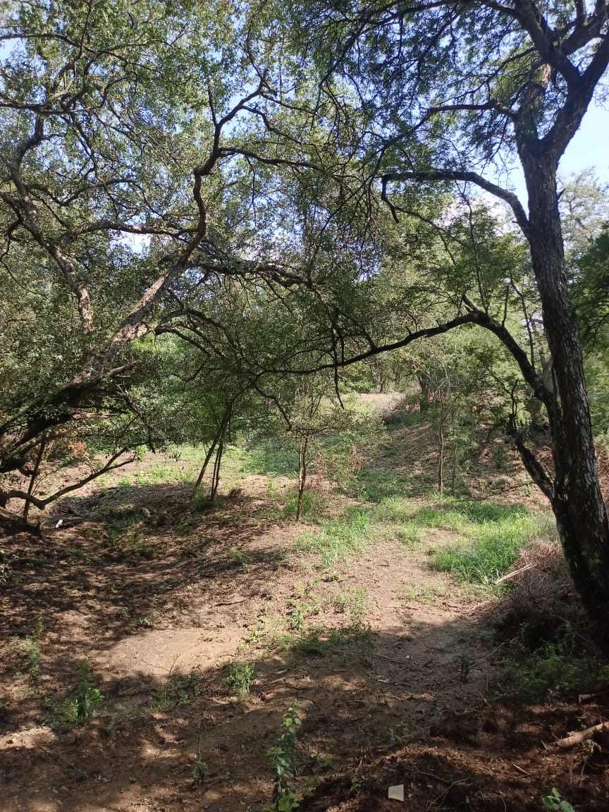 Terreno en Venta en Canoas