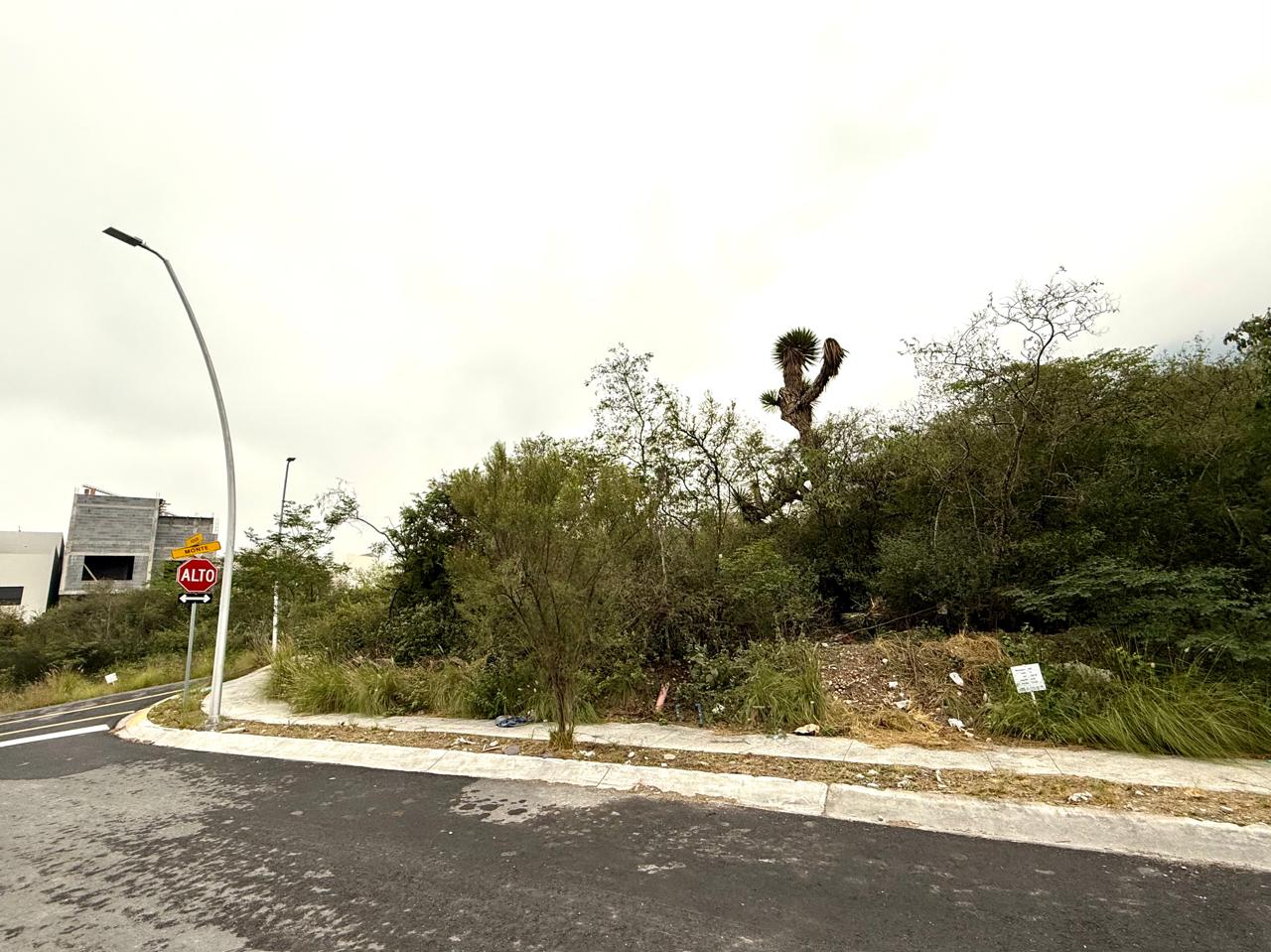 Terreno en Venta en Cumbres Elite Premier