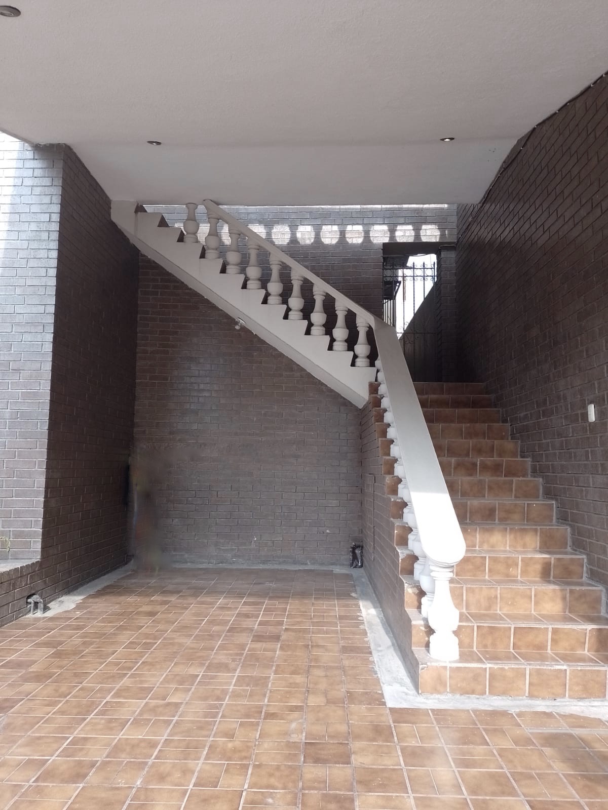 Departamento en Renta en Lomas del Roble