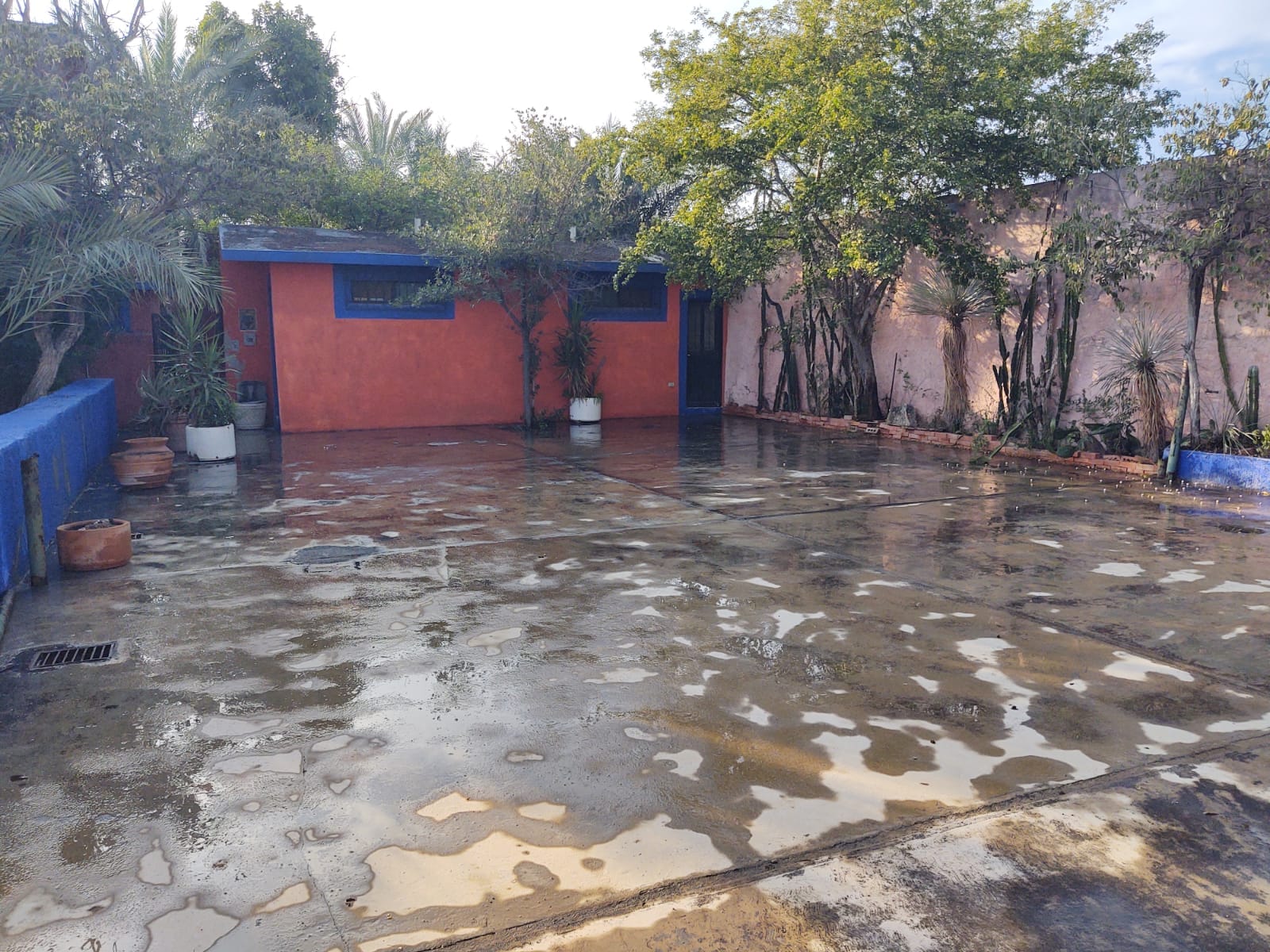Casa en Renta en Sin Colonia