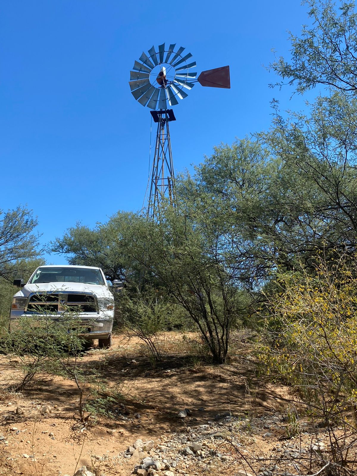 Rancho en Venta en Lampazos de Naranjo