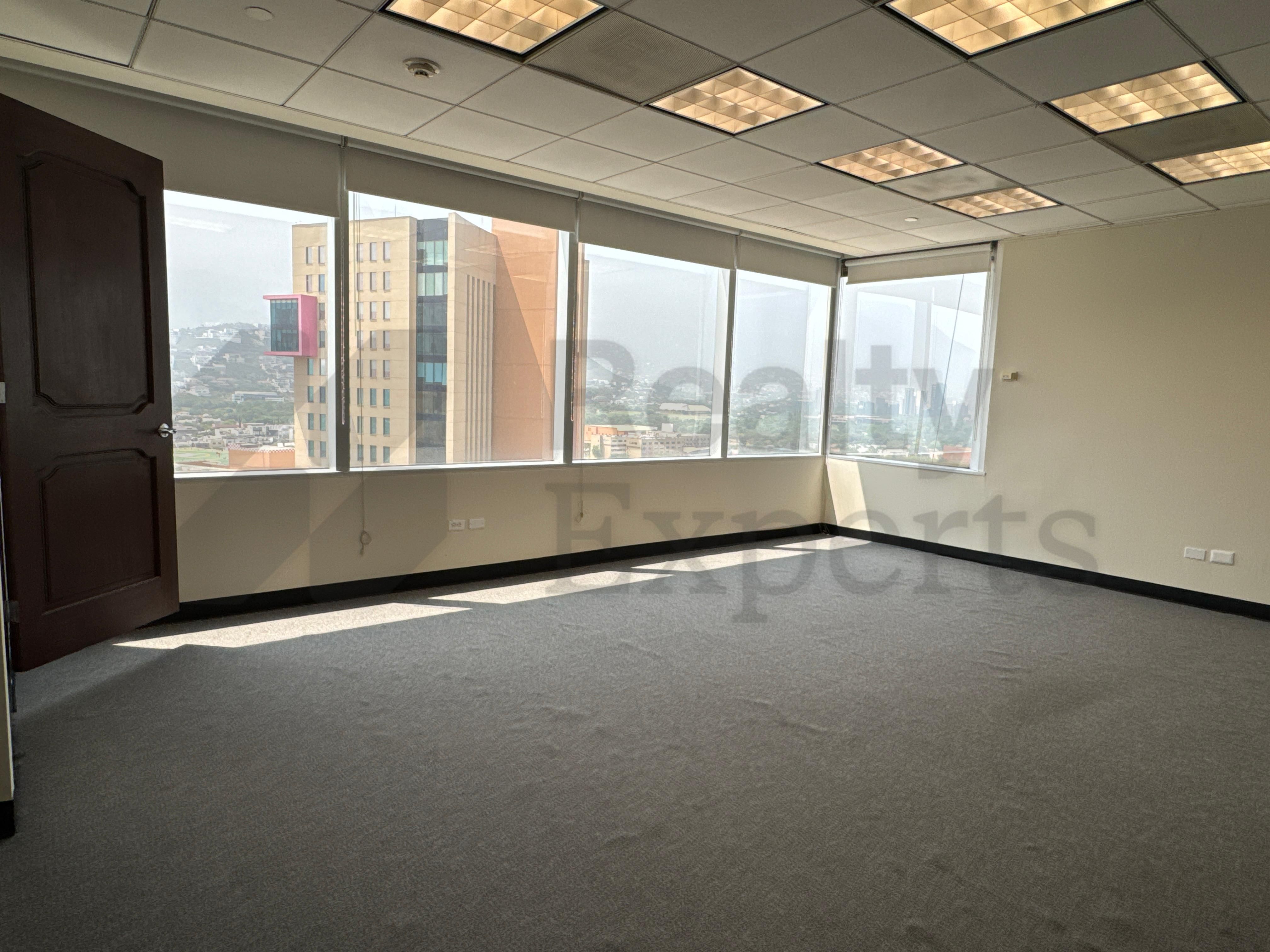 Oficina en Renta en Del Valle Oriente