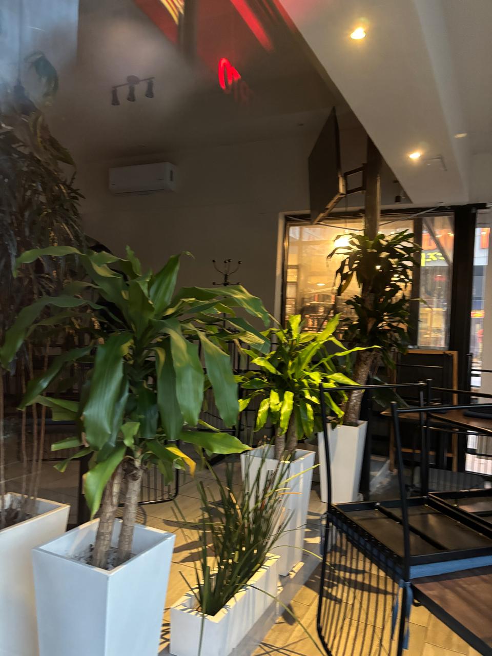 Local en Renta en Del Valle