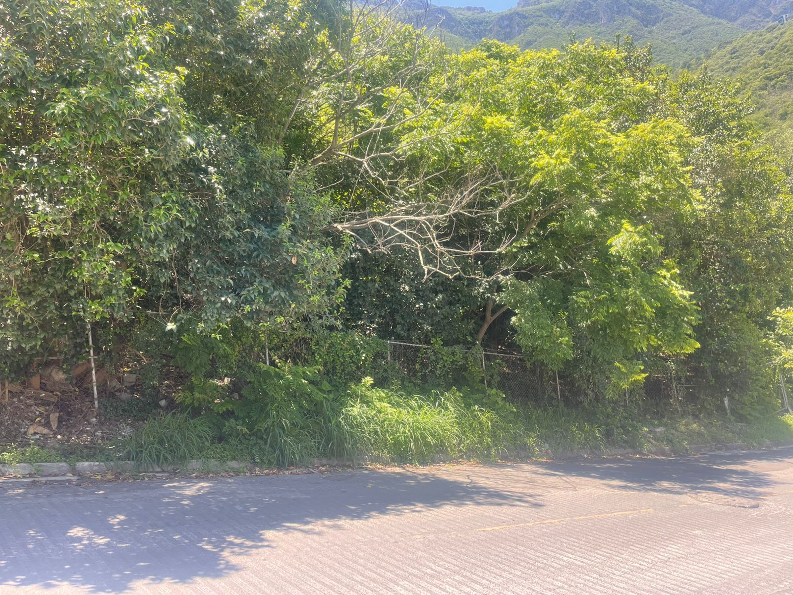 Terreno en Venta en Valle de San Ángel Sect Mexicano