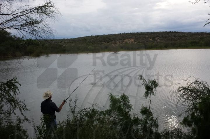 Rancho en Venta en Vallecillo