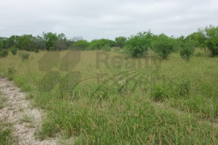 Rancho en Venta en Vallecillo