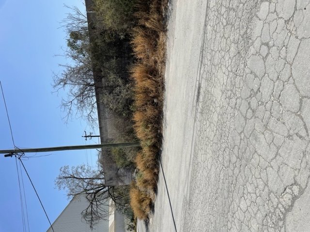 Terreno en Venta en GARCIA NUEVO LEON