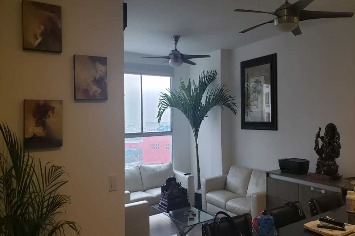 Departamento en Venta en TULÉ
