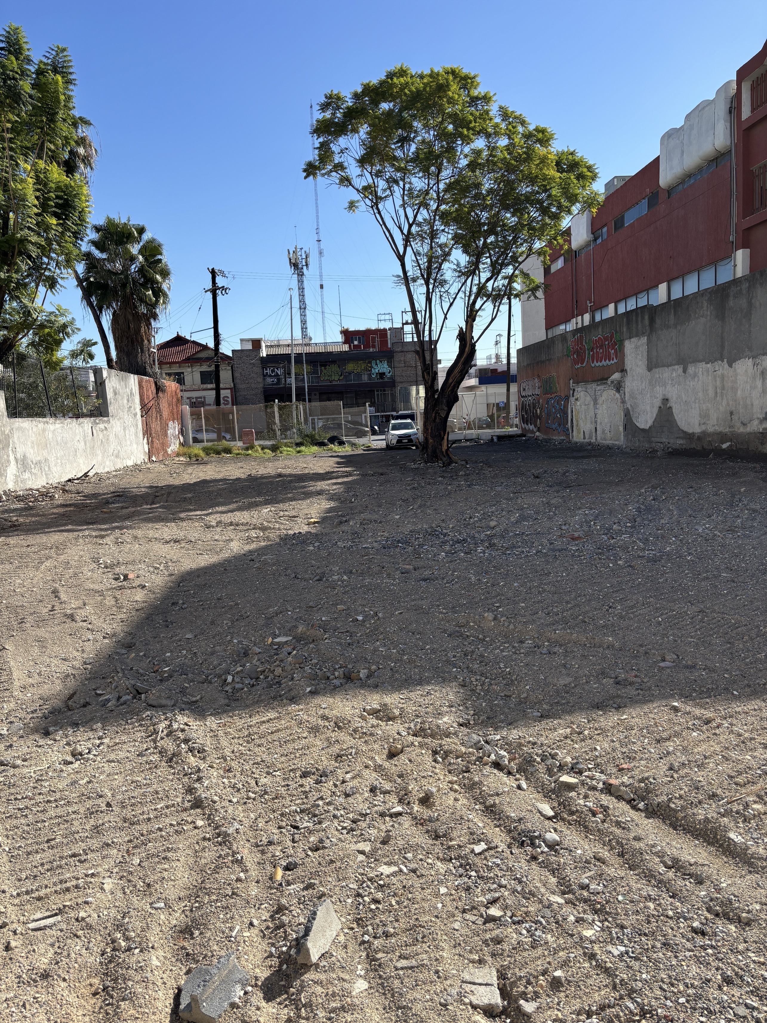 Terreno en Renta en Centro