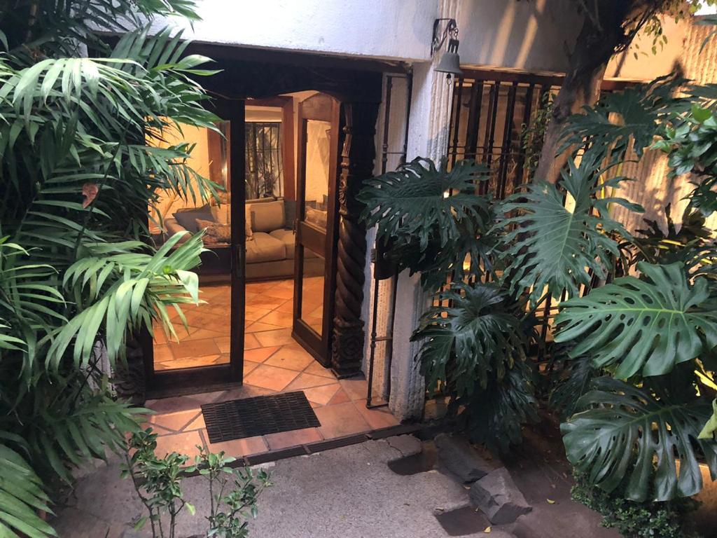 Oficina en Renta en Lomas de Tecamachalco