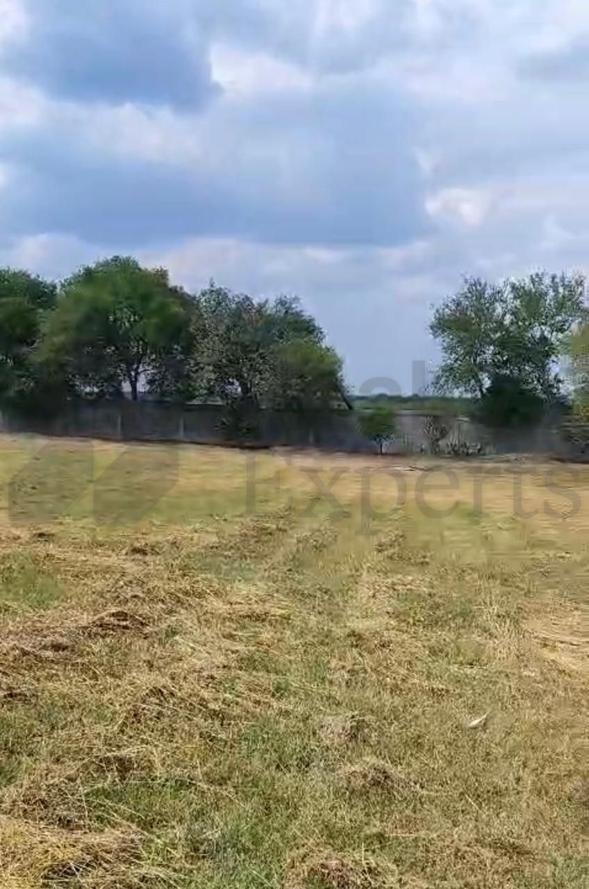 Terreno en Venta en El Blanquillo