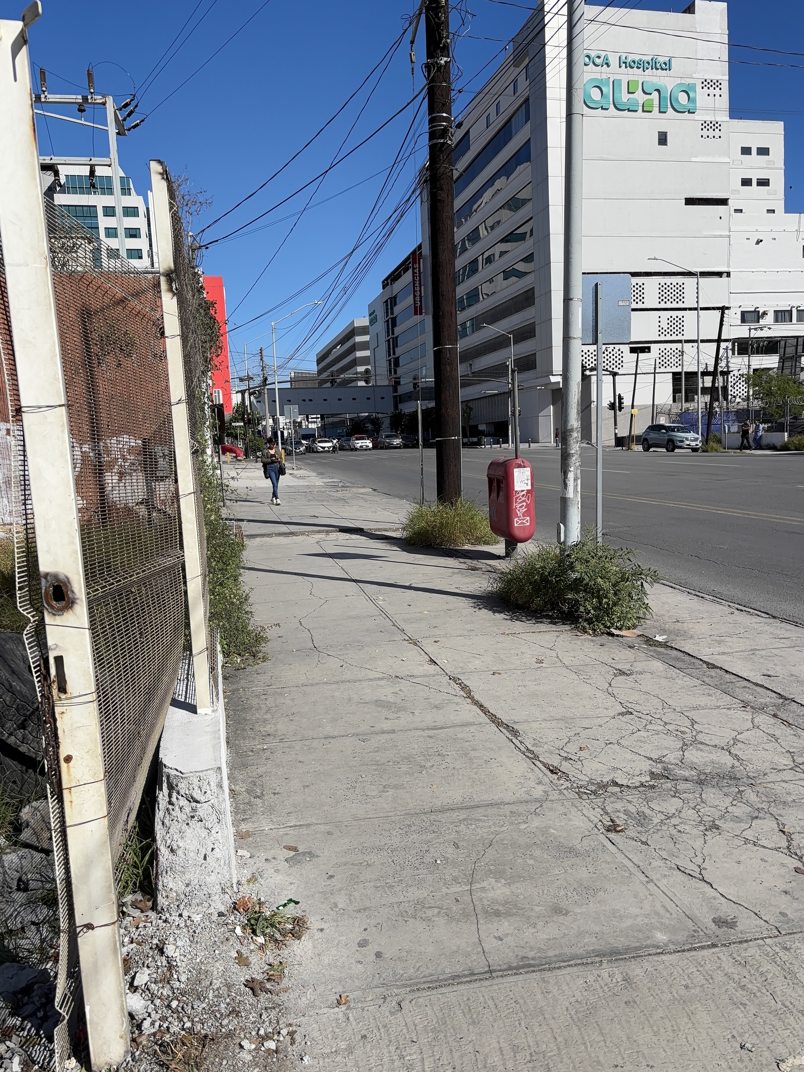 Terreno en Renta en Centro