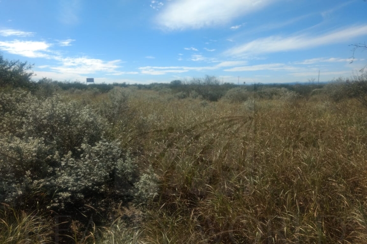 Terreno en Renta en Palo Alto (Palo Alto y Ayaleño)