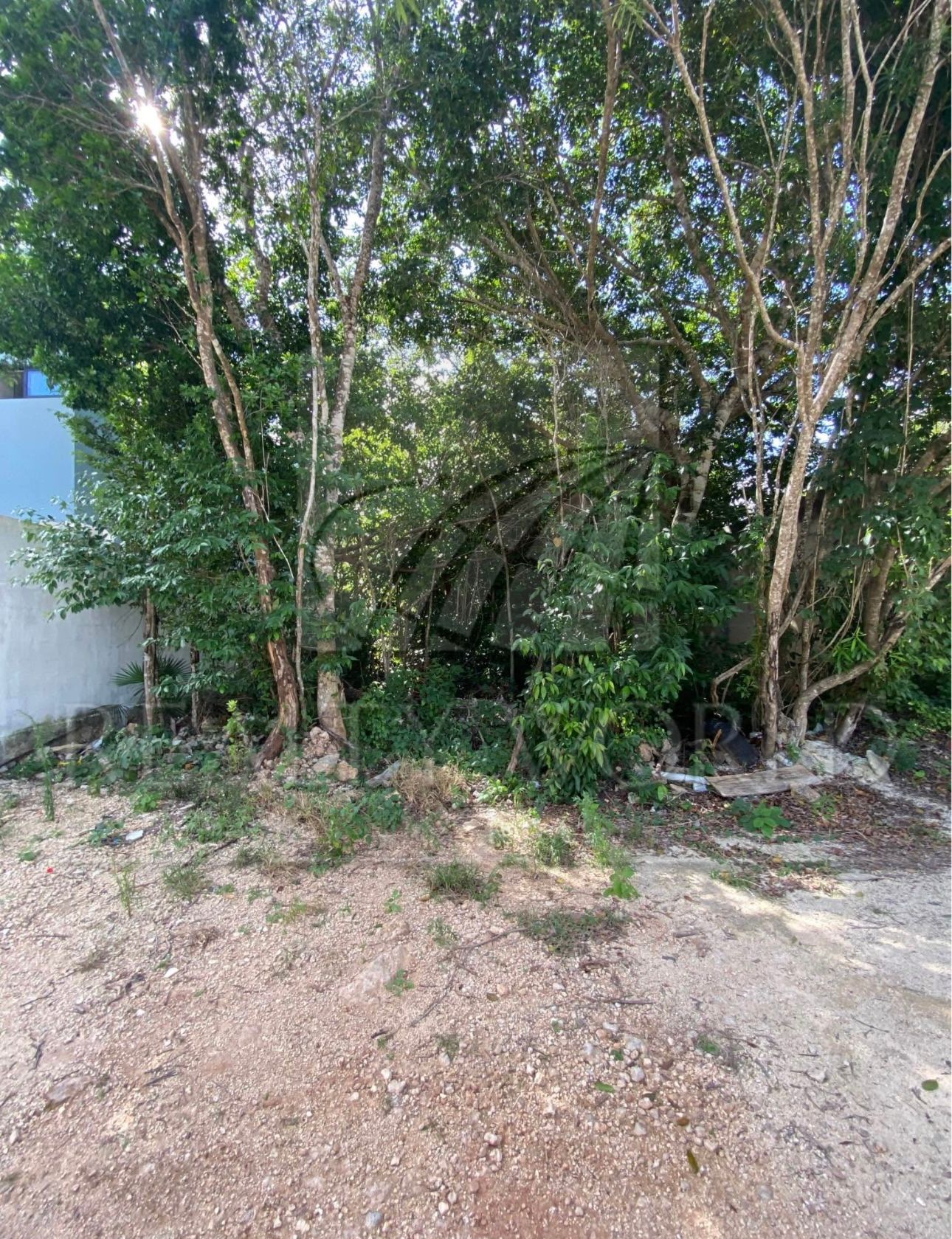 Terreno en Venta en Álamos I