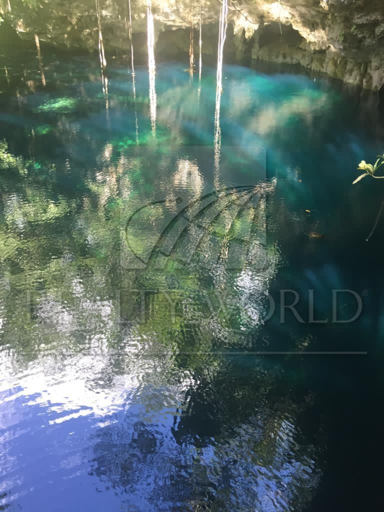 Terreno en Venta en Sin Colonia