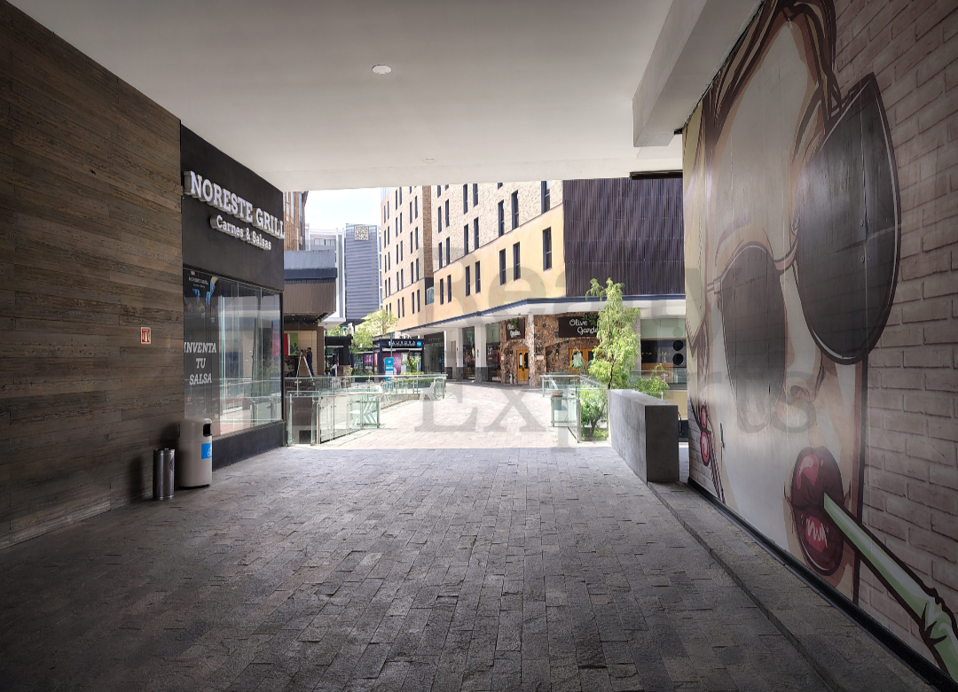 Local en Renta en Ladrillera