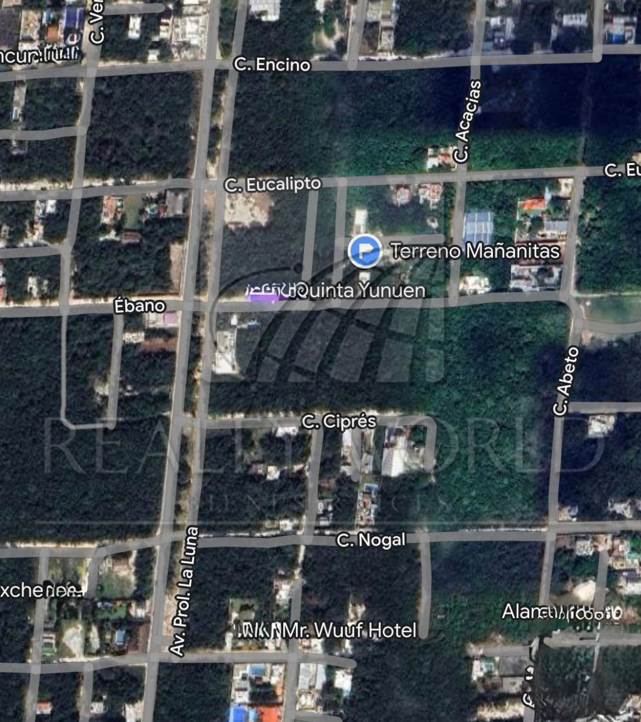Terreno en Venta en Álamos I