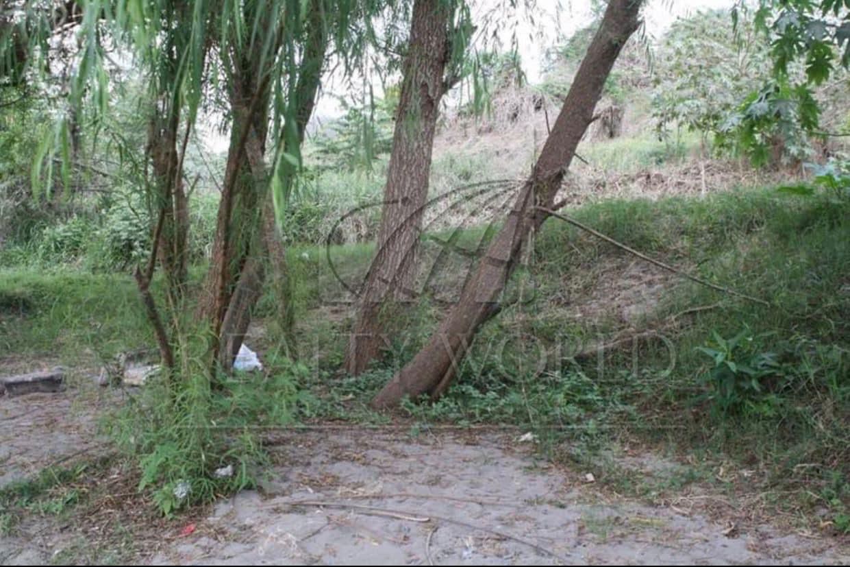 Terreno en Venta en Sin Colonia