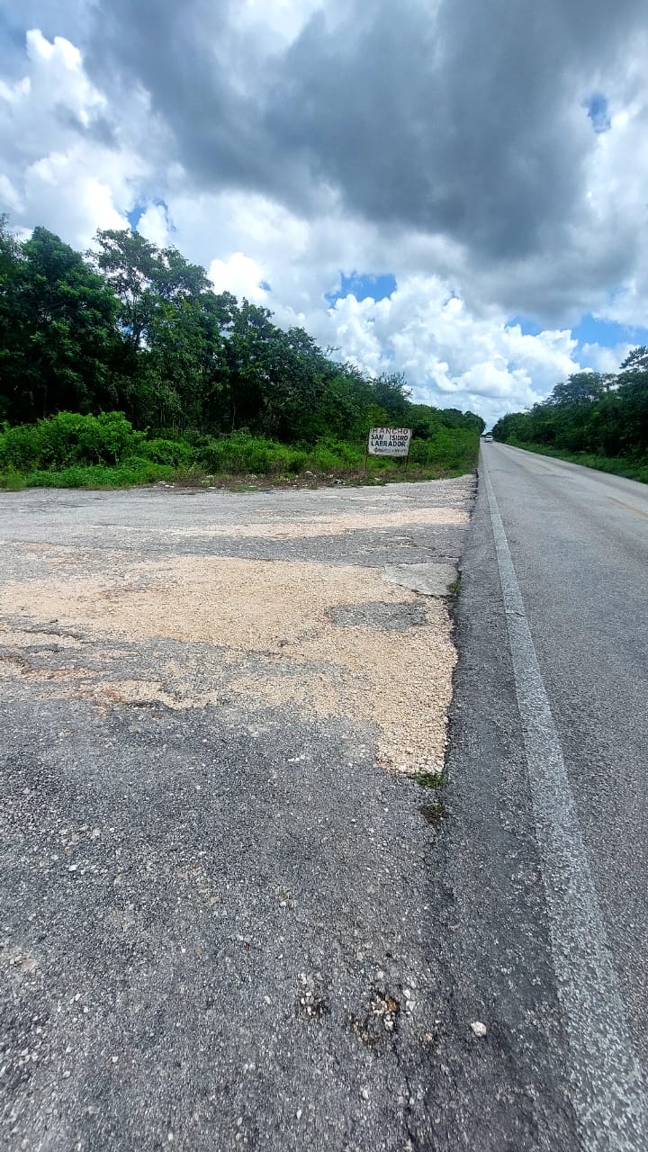 Terreno en Venta en Leona Vicario