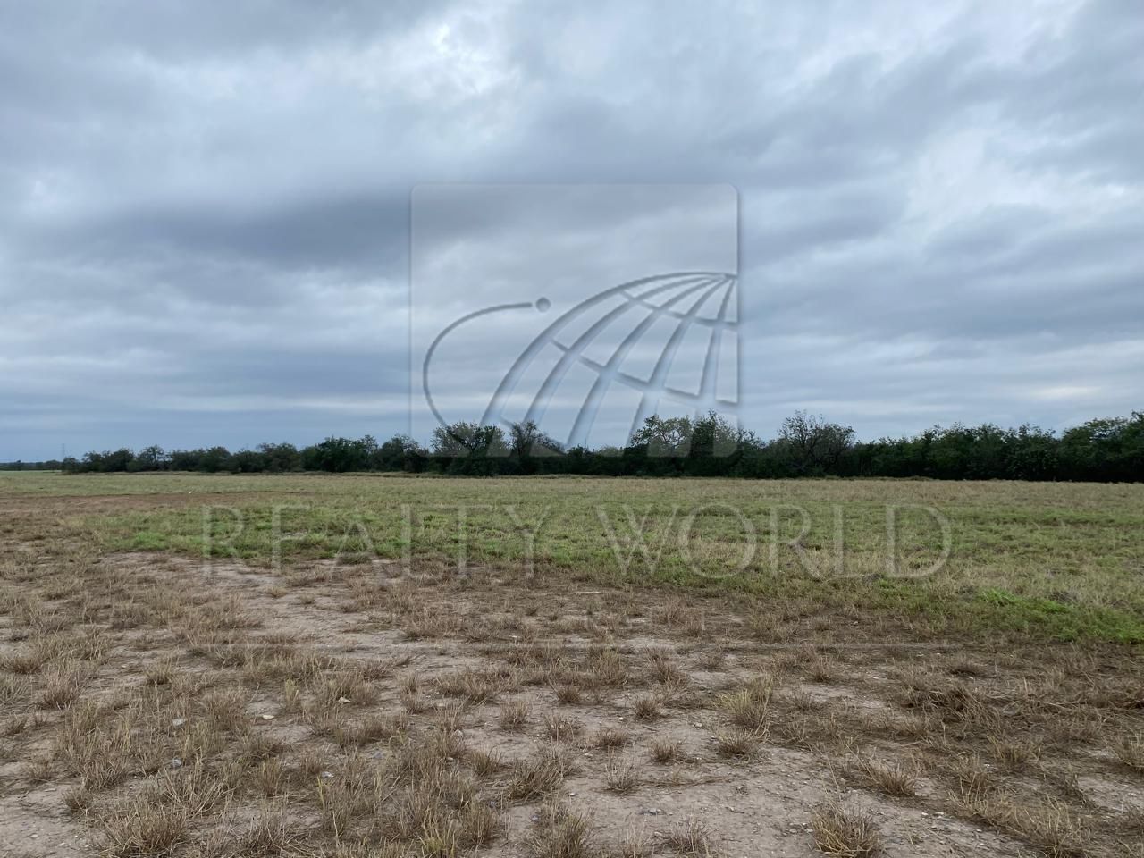 Terreno en Venta en Ciénega de Flores Centro