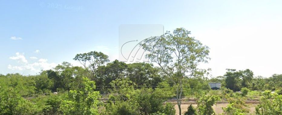 Terreno en Venta en Sin Colonia