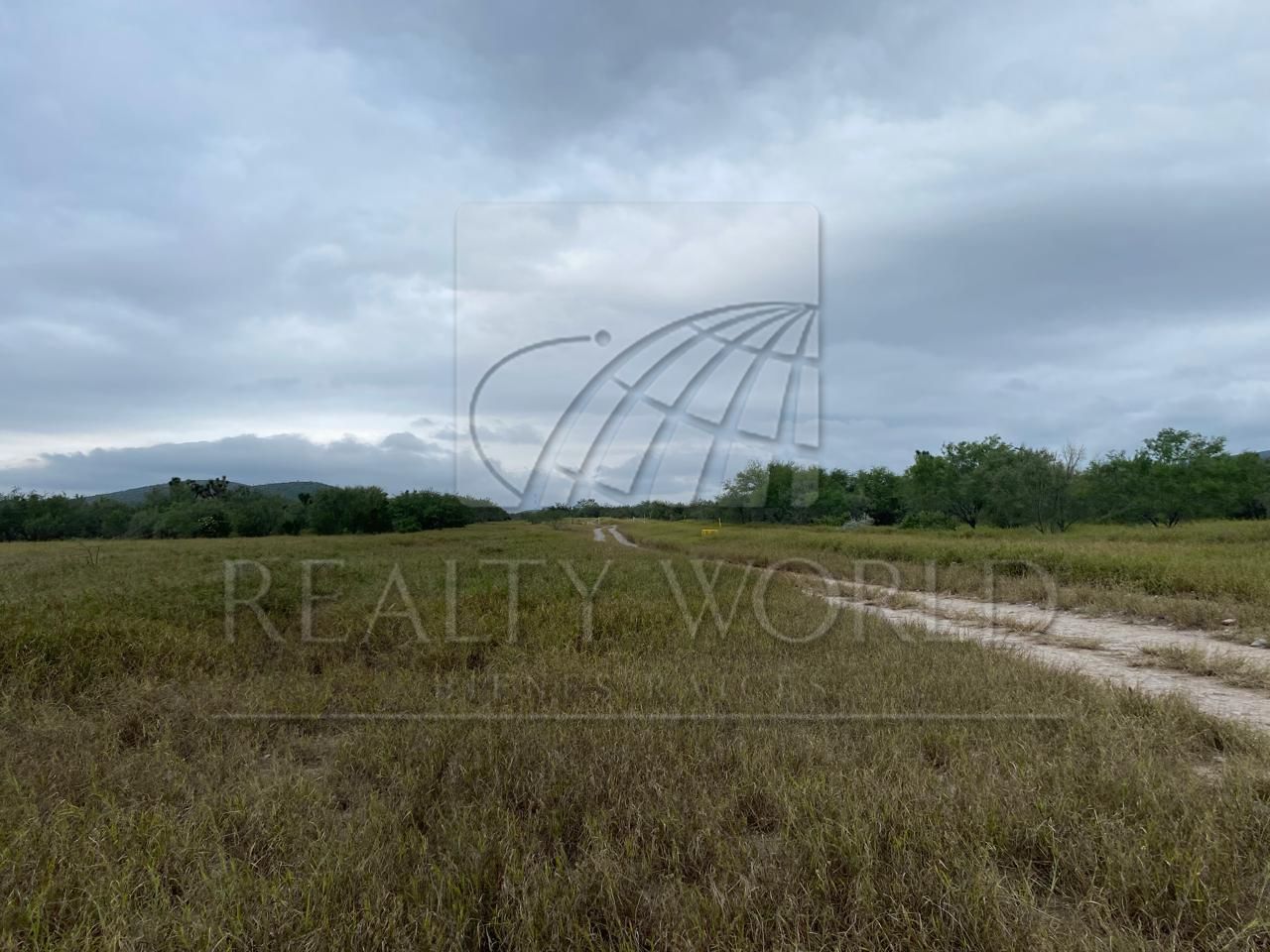 Terreno en Venta en Ciénega de Flores Centro