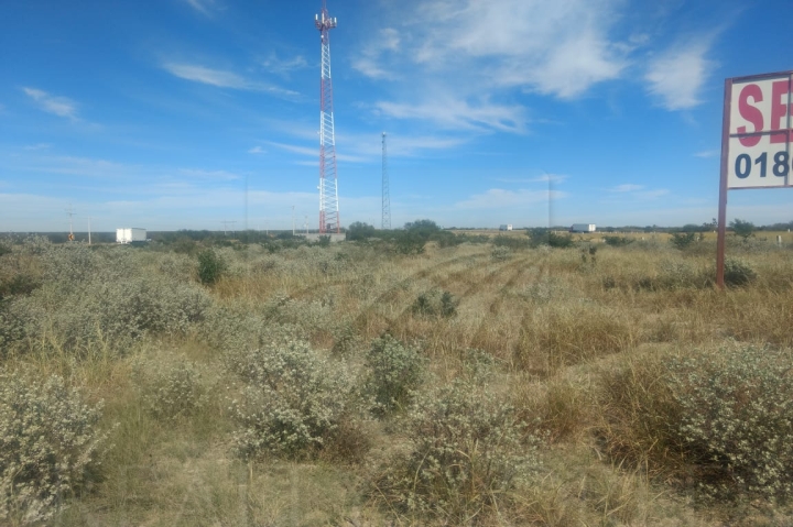 Terreno en Renta en Palo Alto (Palo Alto y Ayaleño)
