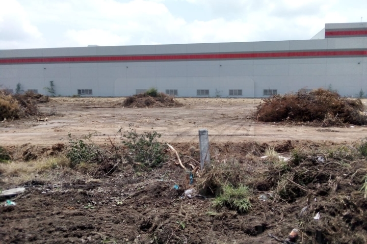 Terreno en Renta en Ciénega de Flores Centro