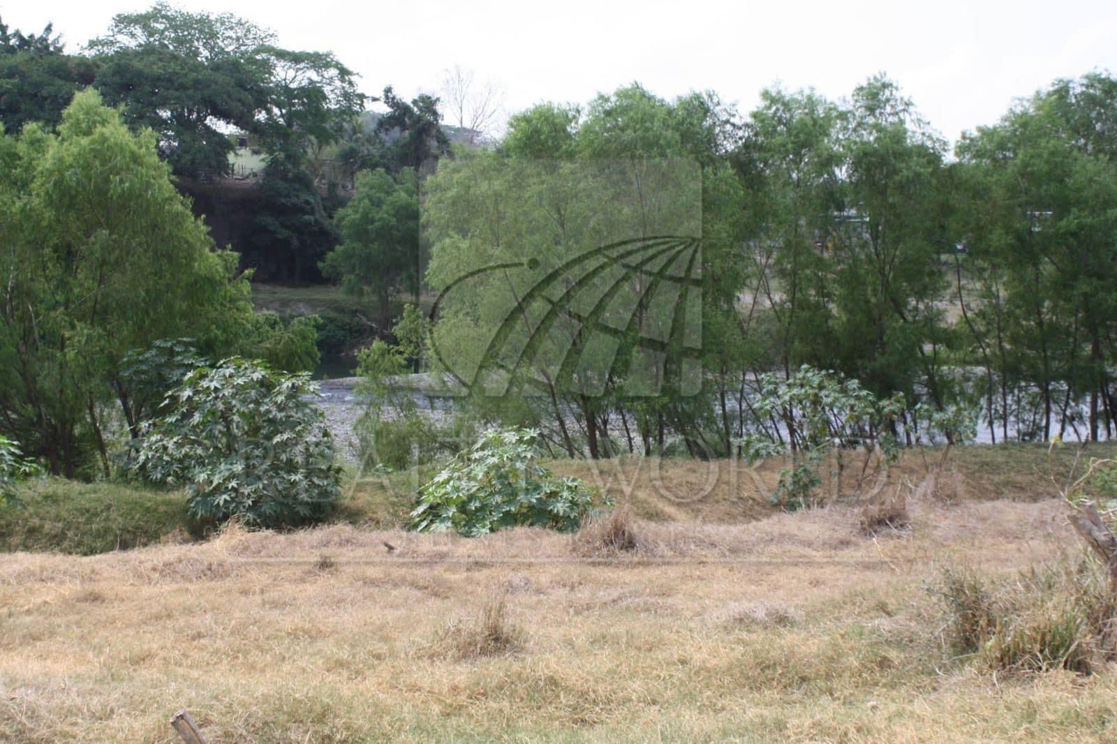 Terreno en Venta en Sin Colonia