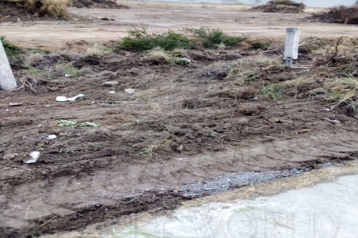 Terreno en Renta en Ciénega de Flores Centro
