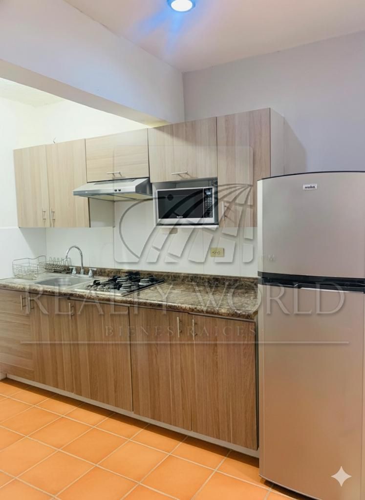 Departamento en Renta en Residencial San Agustin 