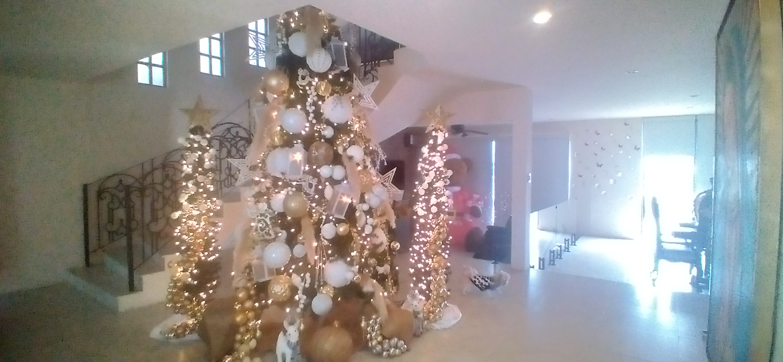 Casa en Venta en Contry Sol