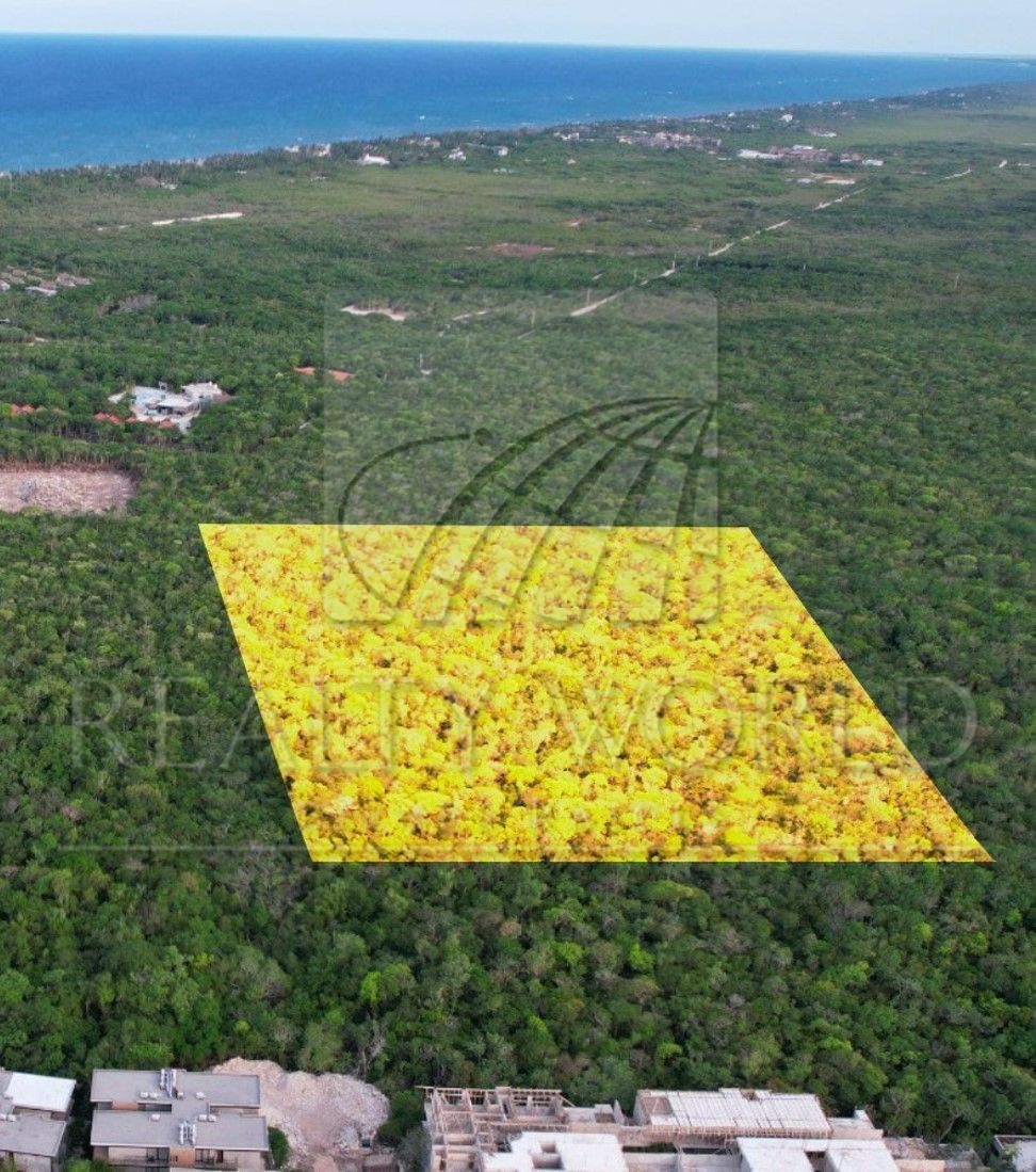 Terreno en Venta en Sin Colonia