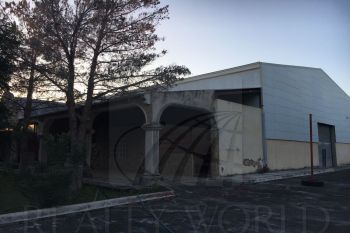 Bodega en Renta en Doctor González