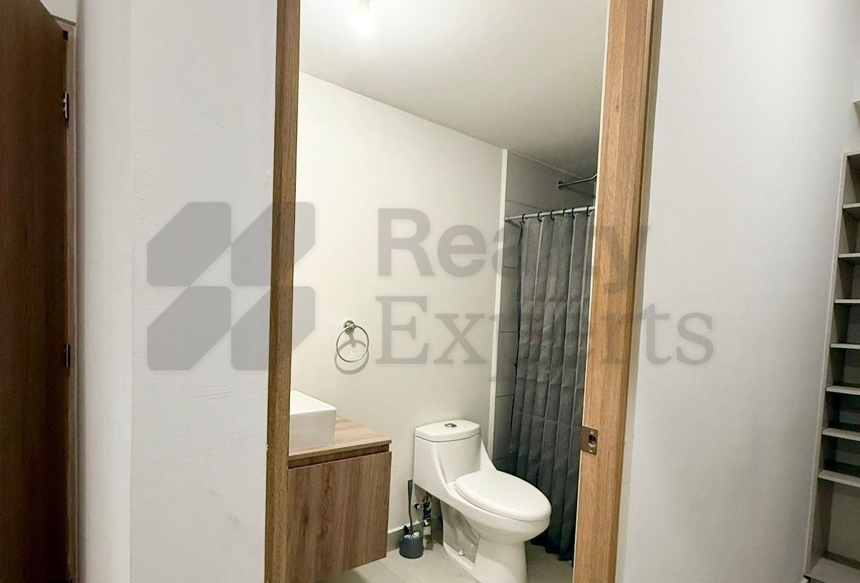 Departamento en Renta en Living San Nicolás